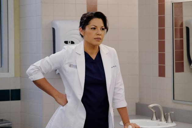 What Will Callie Say? - Grey's Anatomy Season 12 Episode 6