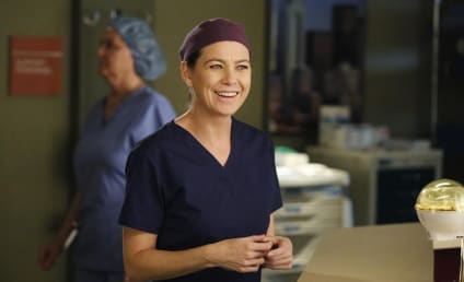 Grey's Anatomy Season 12: What to Expect from Whom