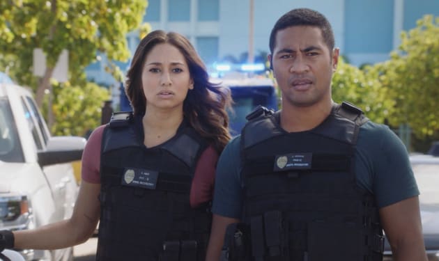 Hawaii Five 0 Season 8 Episode 13 Review O Ka Mea Ua Hala Ua Hala Ia What Is Gone Is Gone Tv Fanatic
