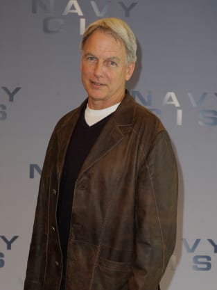 Mark Harmon