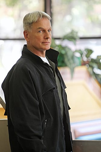 NCIS Review: Never Bring a Knife to a Gun Fight - TV Fanatic