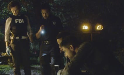 Criminal Minds Season 13 Episode 3 Review: Blue Angel