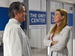 Grey s Anatomy Round Table Are You Feeling the Heat Between