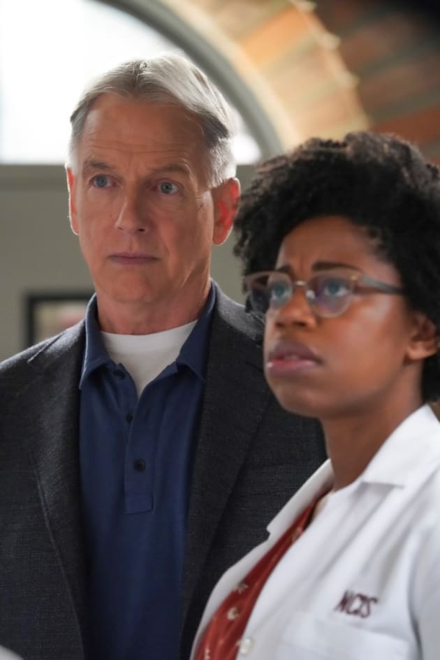 Important Discovery - NCIS Season 17 Episode 5