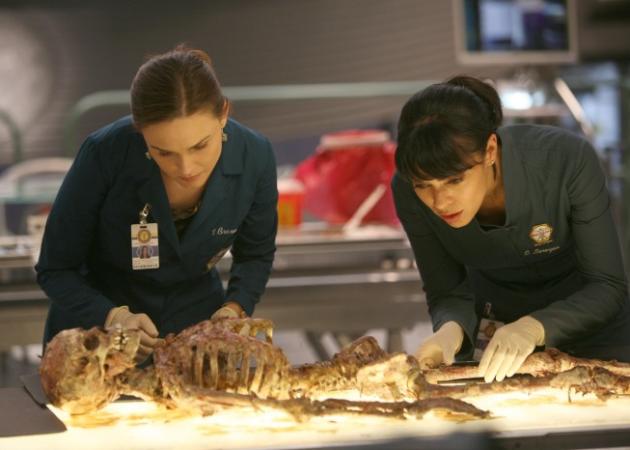 Important Bones