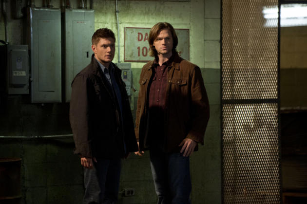 The Zombie Investigation