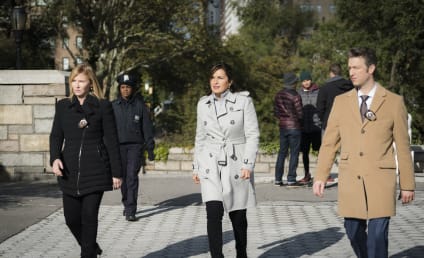 Law & Order: SVU Season 18 Episode 9 Review: Decline and Fall