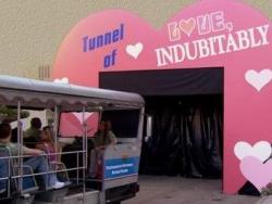 The Tunnel of Love Picture