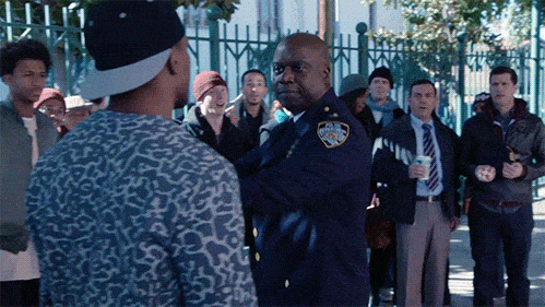 Capt. Raymond Holt (Brooklyn Nine-Nine)