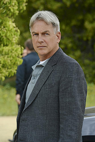 Mark Harmon as Gibbs