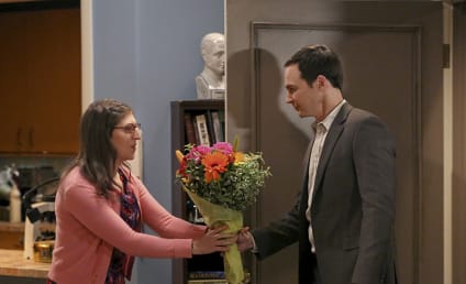 The Big Bang Theory Season 9 Episode 11 Review: The Opening Night Excitation
