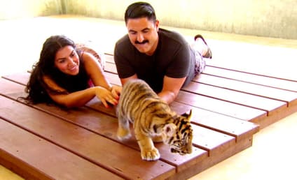 Watch Shahs of Sunset Online: Lions and Buddhists and Persians, Oh My!