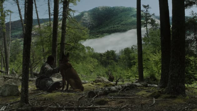 The mist on sale putlocker