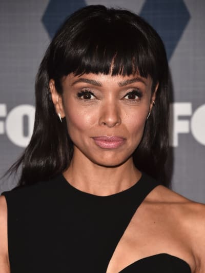 Tamara Taylor Attends Winter TCA