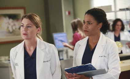 9 Wishes for Grey's Anatomy Season 13
