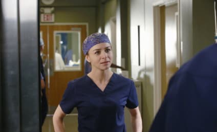 Grey's Anatomy Season 12 Episode 8 Review: Things We Lost in the Fire