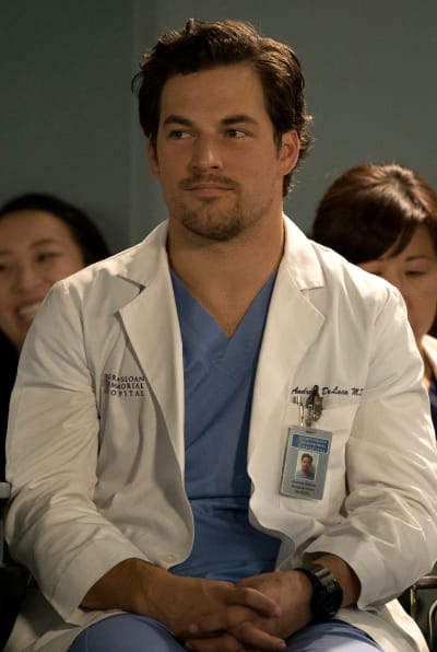 Grey's anatomy season 14 episode 20 watch online cheap