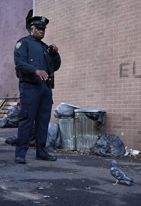Brooklyn 99 season 7 episode 2 online store