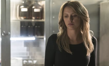 Riley Voelkel Talks The Originals, Freya and Family Above All!