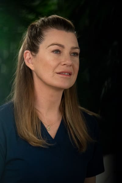 Supportive Girlfriend - Grey's Anatomy Season 15 Episode 18