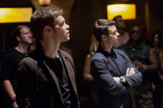 The Originals Review The Hybrid Returns TV Fanatic