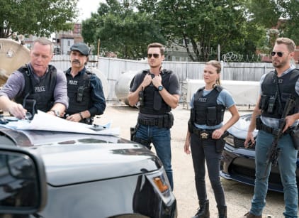 Chicago pd season new arrivals 5 online stream
