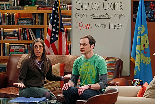 The big bang theory season 5 online sales
