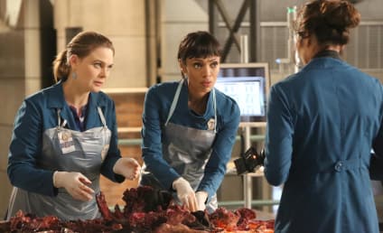 Bones Winter Finale Review: Cocoon of Love