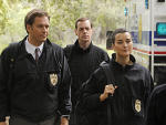 Swan Song Photo