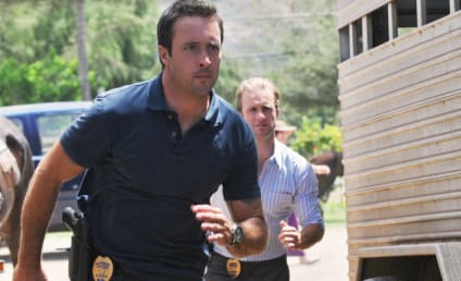Hawaii Five-0 to Let Viewers Choose Episode Ending