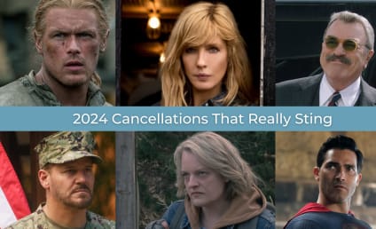 2024 TV Cancellations That Really Sting