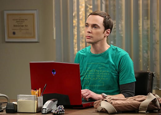 the big bang theory season 2 episode 17