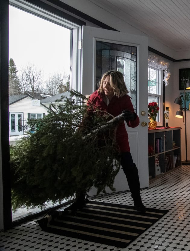 Wrestling with the Tree - Candy Cane Christmas - Tall