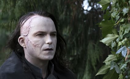 Penny Dreadful Star Rory Kinnear Joins Spinoff