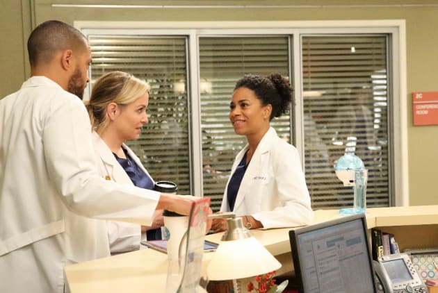 Plotting - Grey's Anatomy Season 13 Episode 12