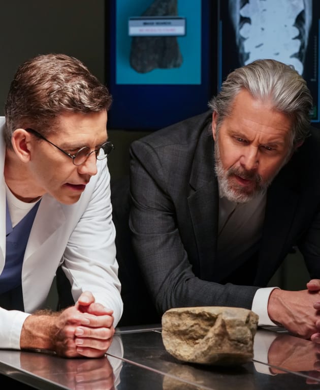 NCIS CBS Drops First Details for Unprecedented ThreeShow Crossover