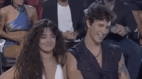 Viral Moments - Camila and Shawn