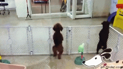 Happy Dance