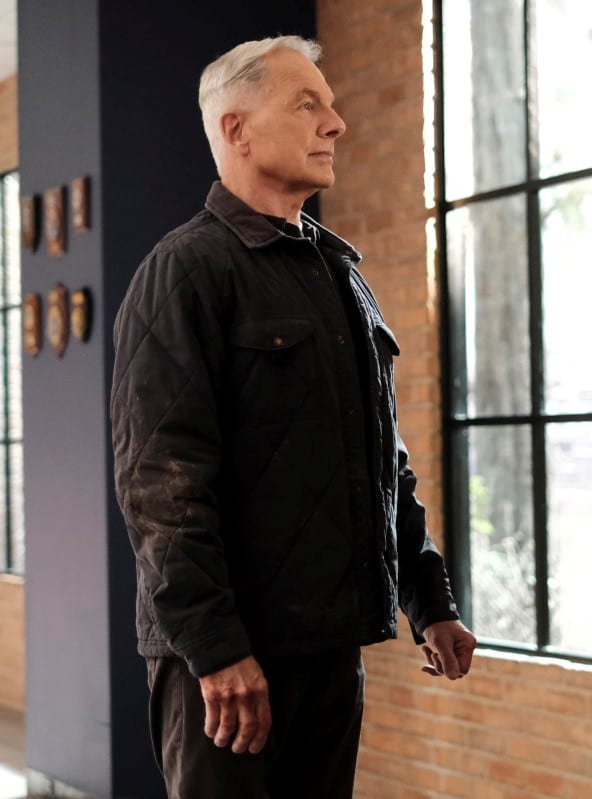 Saving Canines - NCIS Season 18 Episode 10
