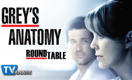 Grey's Anatomy Round Table: Are You on the McDream Team?