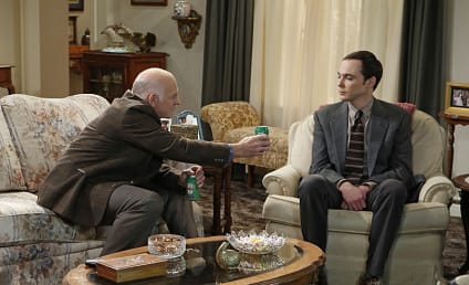 The Big Bang Theory: Watch Season 7 Episode 9 Online