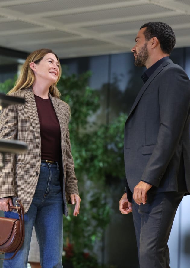 Ellen Pompeo Reveals Why She Left 'Grey's Anatomy,' Who Was 'Easiest to  Kiss' on the Show, & More!, EG, Ellen Pompeo, Extended, Greys Anatomy,  Slideshow