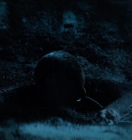 CMBB2x11