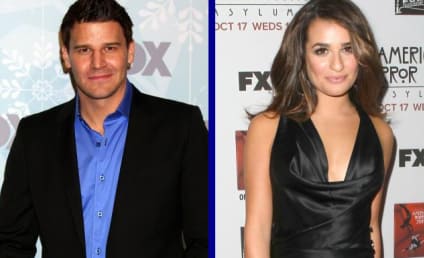 Tournament of TV Fanatic Quarterfinals: David Boreanaz vs. Lea Michele!