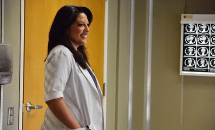 Grey's Anatomy Photo Preview: "Idle Hands"