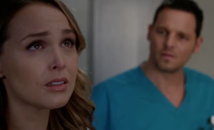 Grey's Anatomy Season 13 Episode 9 Review: You Haven't Done Nothin'