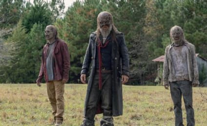 The Walking Dead Season 10 Episode 14 Review: Look at the Flowers