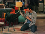 Ted and the Goat