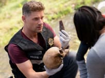 Death of an Archaeologist -- Squatter - CSI: Vegas Season 2 Episode 13
