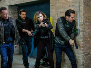 Chicago pd season 3 episode 3 watch online sale